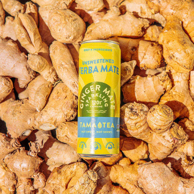 GINGER MATE YERBA MATE SPARKLING TEA – Tama Tea