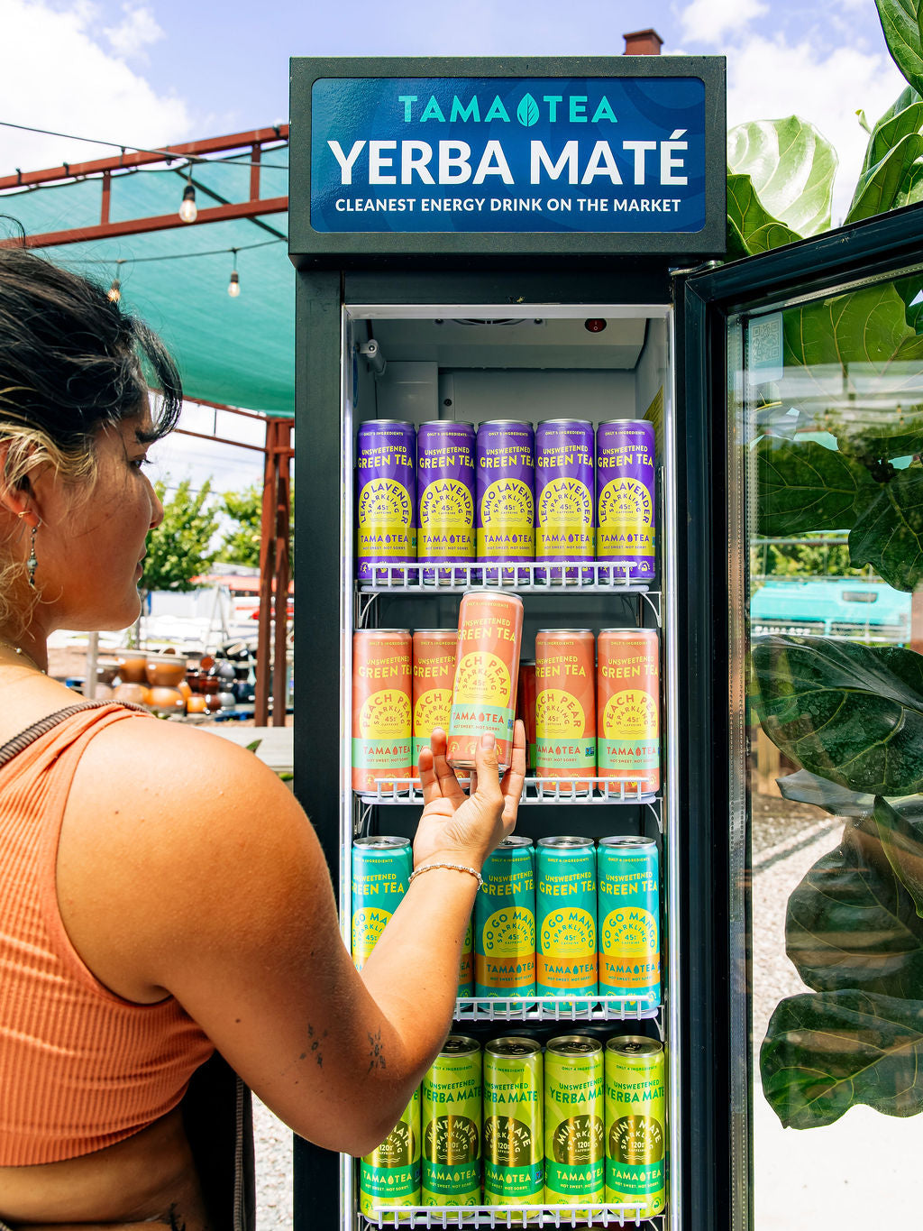 Tama Tea I Unsweetened Sparkling Yerba Mate and Green Tea